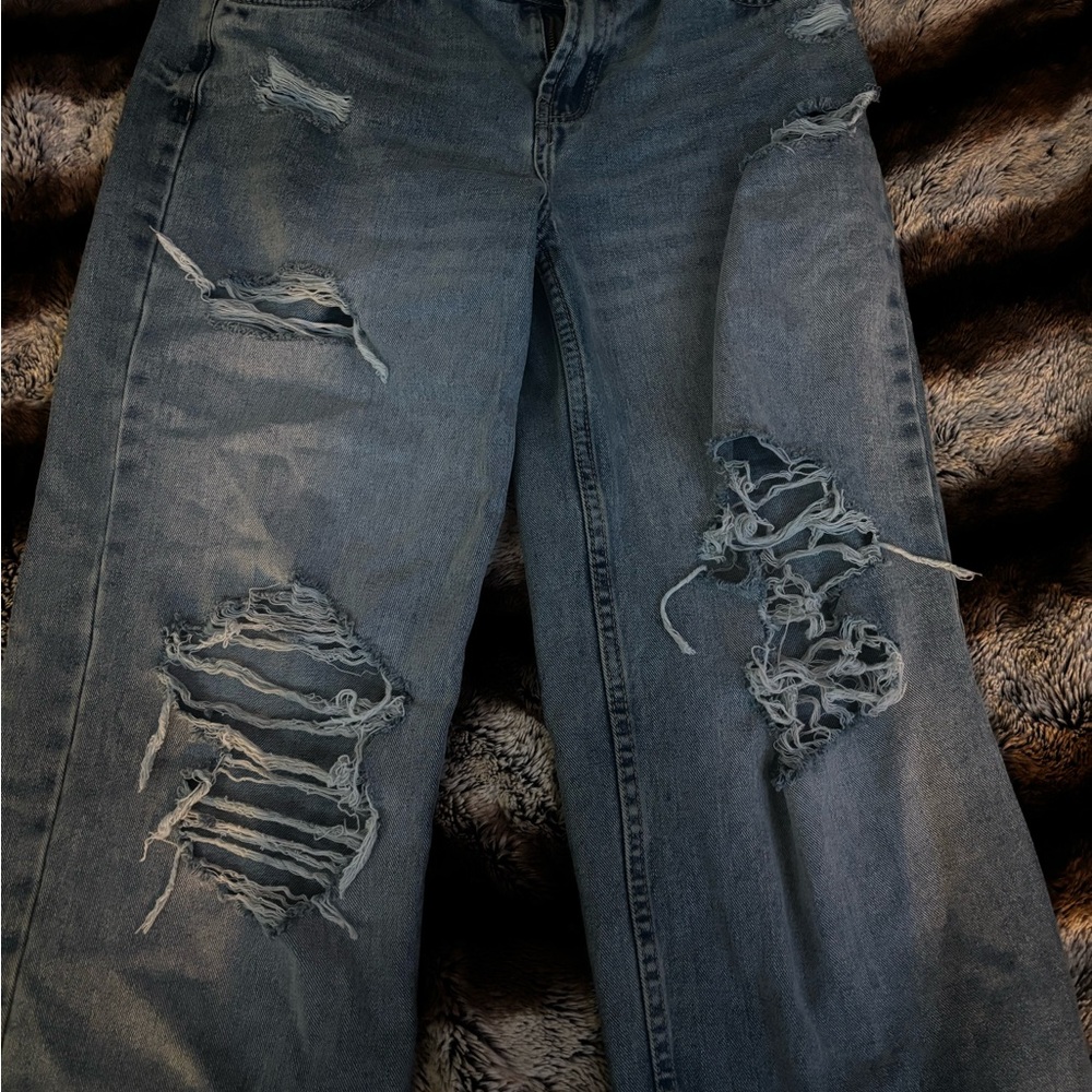 Refuge Denim Skater Low Rise Jeans